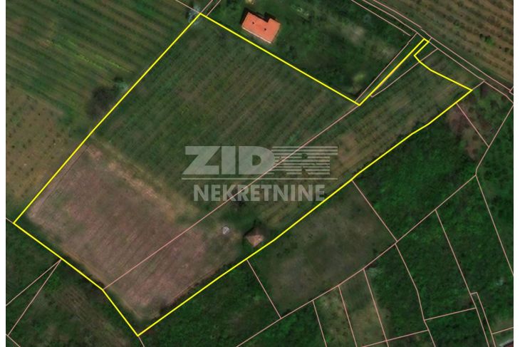 Poljoprivredno zemljište, Prodaja, Grocka (Beograd), Grocka